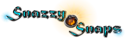 snazzysnaps